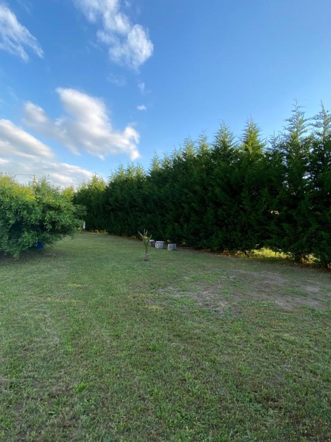 Au Paradis D'Alsace 55 M2 Nature & Relax Ingwiller Bagian luar foto